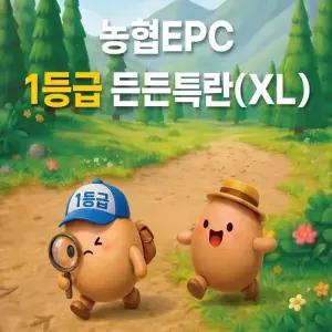 농협 1등급 든든 계란 60구(2판)