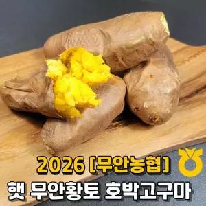 [무안농협] 햇 무안황토 고구마(호풍미) 8kg