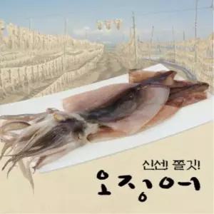 덕신 원양산 반건조 피데기오징어 110gx10미(팩당5미)