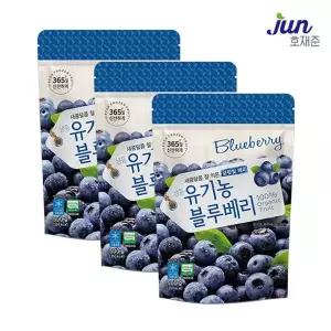 [NS홈쇼핑]호재준 냉동 유기농블루베리 500g x 3팩[35863445]