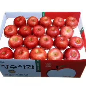 장수사과 10kg(40과)
