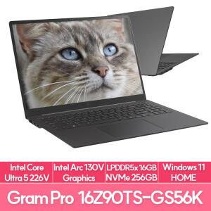 LG전자 그램 프로16 16Z90TS-GS56K 인텔 루나레이크 윈도우11탑재 램16G NVMe256G 사무용 노트북 추천 EU