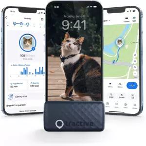 트랙티브 스마트 고양이 GPS 트래커 6.5파운드 이상 실시간 위치 및 웰빙 모니터링 지역 기록 최대 5일