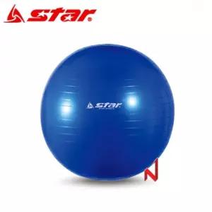 스타 피트니스 헬스 짐볼 55cm EB240-07 발 펌프 포함 / 보수 하프 통통 찜