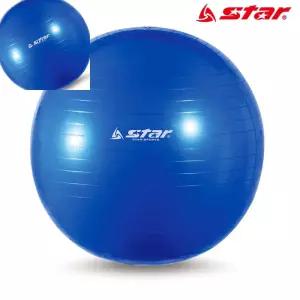 육 짐볼 55cm 블루 밸런스볼 필라테스짐볼