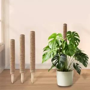 식물 수태봉 기둥 30cm 코코봉 화분 몬스테라 50cm 지지대 70cm 코코넛 고정 스킨답서스