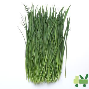 부추 8Kg (특)