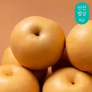 [과일꾼][명절이후발송] 26년 햇 나주배 가정용 특품 5kg 5-7과