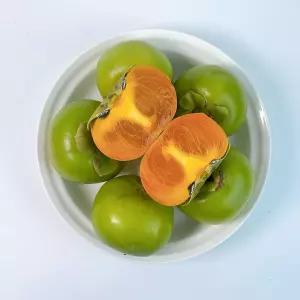 [T쇼페] 26년 태추단감 1.5kg 소과 (9~14과 내외)