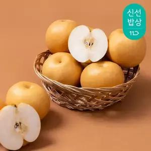 [과일꾼][명절이후발송] 26년 햇 나주배 가정용 5kg 6-10과