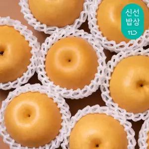 [과일꾼] 26년 햇 나주배 가정용 15kg 16-20과