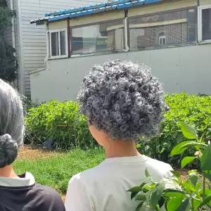 뽀글머리 할머니 가발 할머니가발 흰머리가발