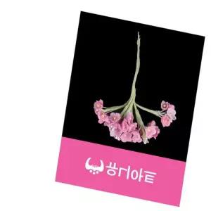 (조화꽃) 2000 물 인테리어조화꽃 진분홍물망초조화 인조플라워물망초 진분홍인조식물