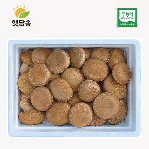 친환경 햇담송화버섯 상급 고급형 500g 1kg 무농약 농협납품 송화고 송고버섯