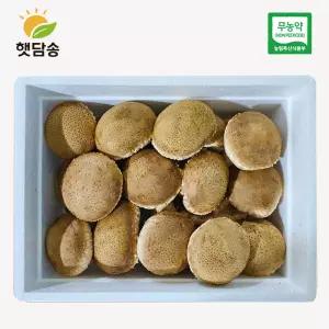 친환경 햇담송화버섯 최고급형 고급선물용 500g 1kg 무농약 농협납품 송화고 송고버섯