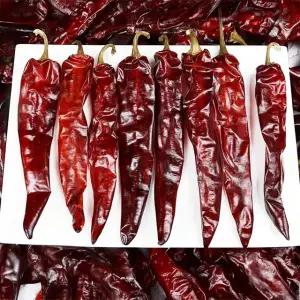 국내산 햇 건고추 보통맛 3kg