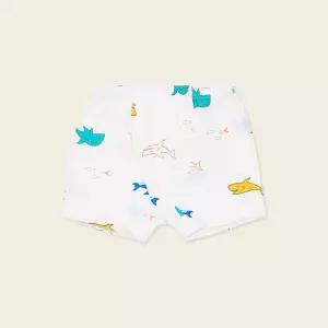 오샤크남아드로즈(MLSUDW12)