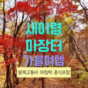 [강원] 비밀의 숲 새이령과 마장터 가을여행(중식포함) 당일