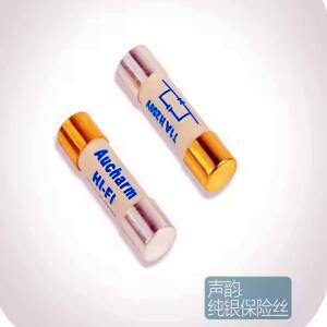 2개 슬로우 멜팅 4N 순은 퓨즈 2A-15A 세라믹 골드 5x20MM
