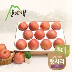 햇사과 산지애 알뜰 못난이사과(특대과) 4kg 1box 2026년 햇사과홍로아리수시나노양광감홍 149112