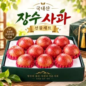 꿀사과 장수 햇사과 홍로 부사 아오리 꿀 제철 사과 추석 선물세트 5kg