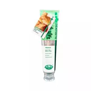 SIAM COSMECEUTICAL 덴티스테 뉴 플러스 화이트 치약 200g 4개