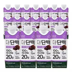 빙그레 더단백 드링크 초코 250ml 18개