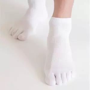 남자발가락양말 남자 여름 용 스포츠 무지 발가락 양말 토 삭스 코디