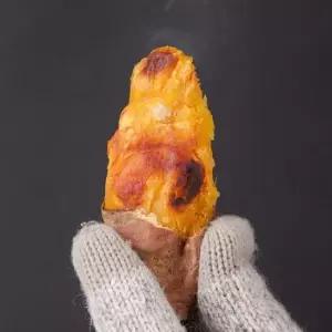 맛있는家 G)해남 꿀밤고구마 10kg 못난이