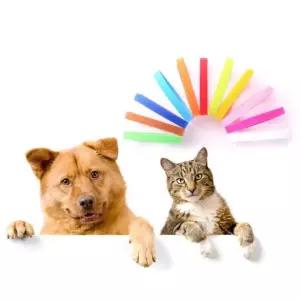 고양이 강아지 목걸이 무지개 네임택 PET 출산 컬러 탯줄 인식표 12색 구분