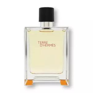 에르메스 떼르 데르메스 EDT 100ml