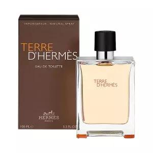아트박스/에르메스 에르메스 떼르 데르메스 EDT 100ml