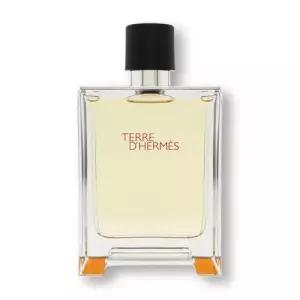 에르메스 떼르 데르메스 EDT 100ml