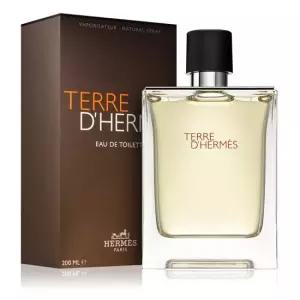 에르메스 떼르 데르메스 EDT 100ml
