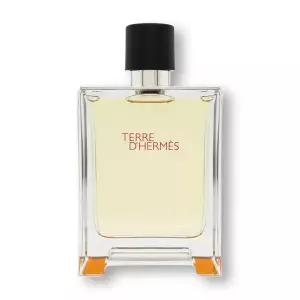 에르메스 떼르 데르메스 EDT 100ml
