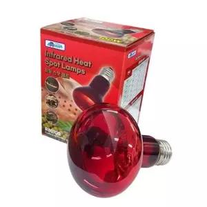 (다올)파충류 사육장 전구 아마존 히팅 스팟 램프 100W