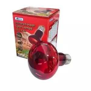 아마존 히팅 스팟 램프 100W 파충류 사육장램프 전구 기타반려동물용품 스몰펫용품 S-WB7B079