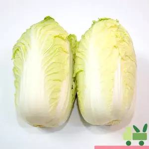 알배기배추 (쌈배추) 6통 (특)