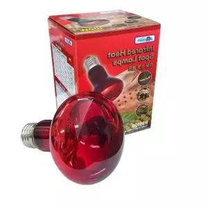 아마존 히팅 스팟 램프 100W R80100 기타반려동물용품 애완동물 조명기구 열전구 D588C