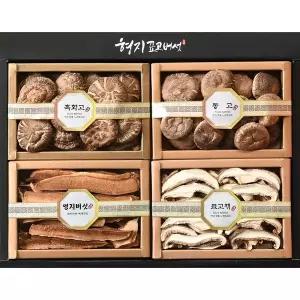 [9/22일 오후1시마감][형지표고버섯] 표고 영지버섯 종합 4종4호 표고버섯 선물세트