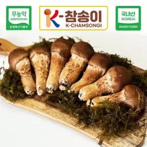 [K-참송이] 참송이버섯 특등급 300g 친환경 국내산 무농약