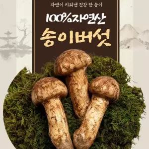 100% 자연산 生 송이버섯 550g