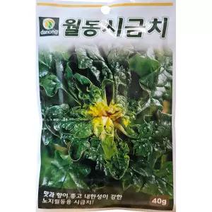 월동시금치 40g 다농 25년 시금치씨앗