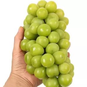 샤인머스켓 2kg 3~4송이