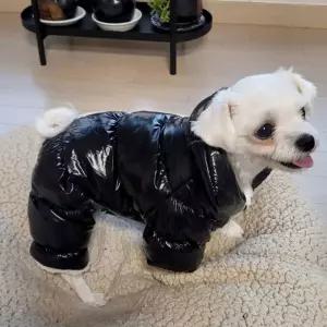 강아지 올인원 옷 패딩 겨울