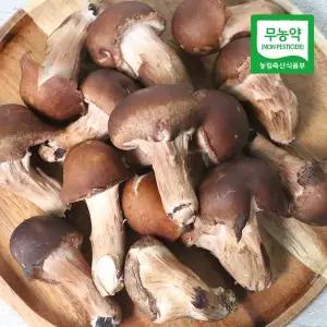 [친환경팔도][생산자직송] 충북 박대선님의 무농약 참송이 버섯 1kg(상품)