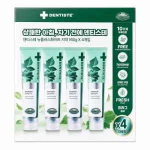 덴티스테 뉴플러스 화이트 치약 160g 4개