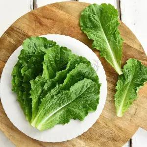 국내산 청상추 1kg