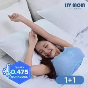 1+1 듀라쿨 아이스냉감 베개커버 (지퍼형)