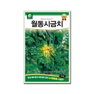 다농 월동시금치 씨앗 40g
